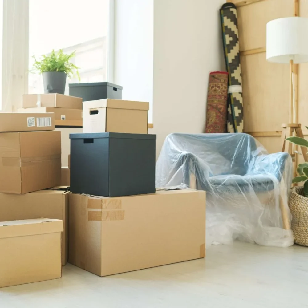 stacks-large-boxes-standing-against-windowsill-with-flowerpots-1536x1024-2 - Copy