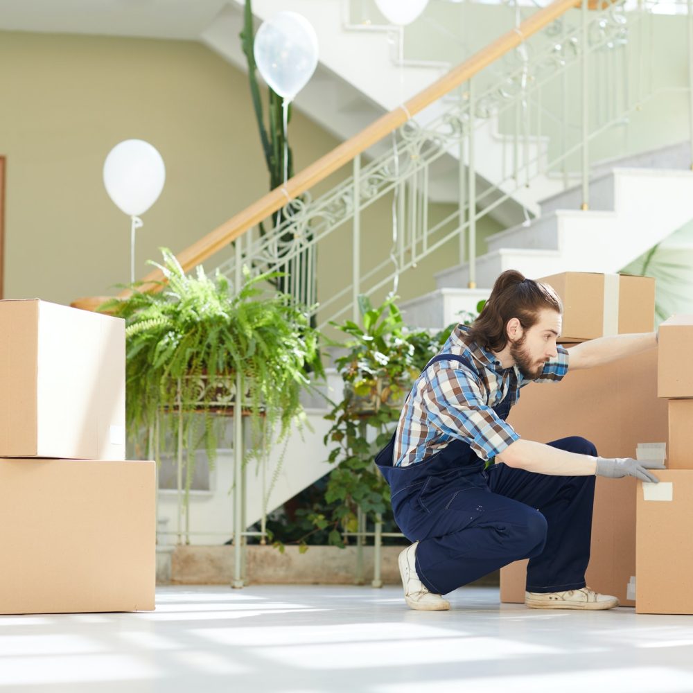 young-mover-finding-necessary-box.jpg